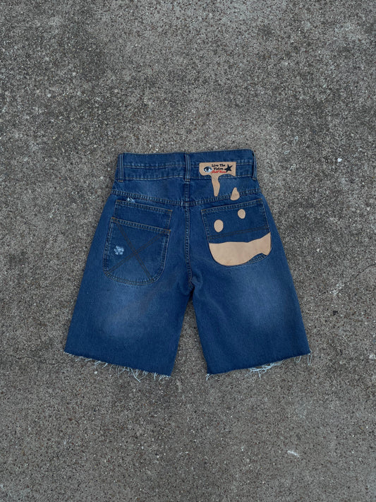 |Flashy BoldVisions Jorts|⭐️