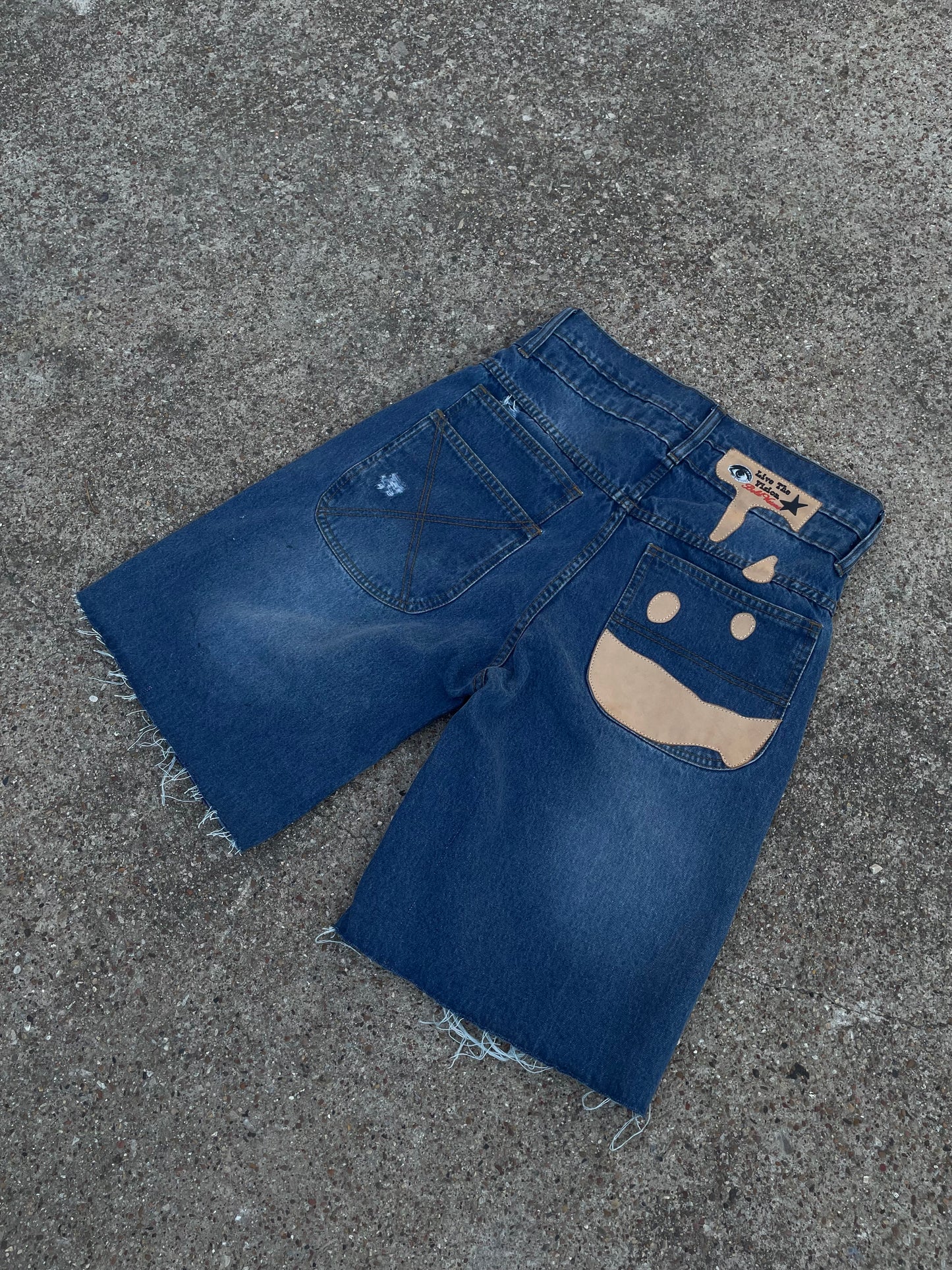|Flashy BoldVisions Jorts|⭐️