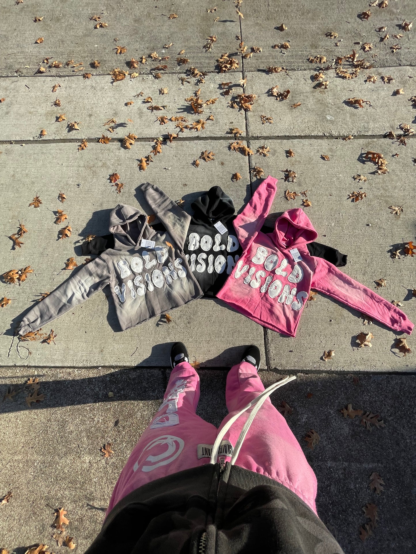BoldVisions Heavy Weight Hoodie⭐️